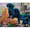 Black Lab Puppies (35pc) -Discount Toy cobble hill puzzle company black lab puppies 35pc