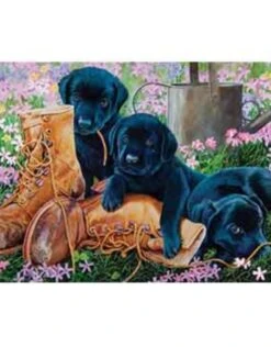 Black Lab Puppies (35pc)