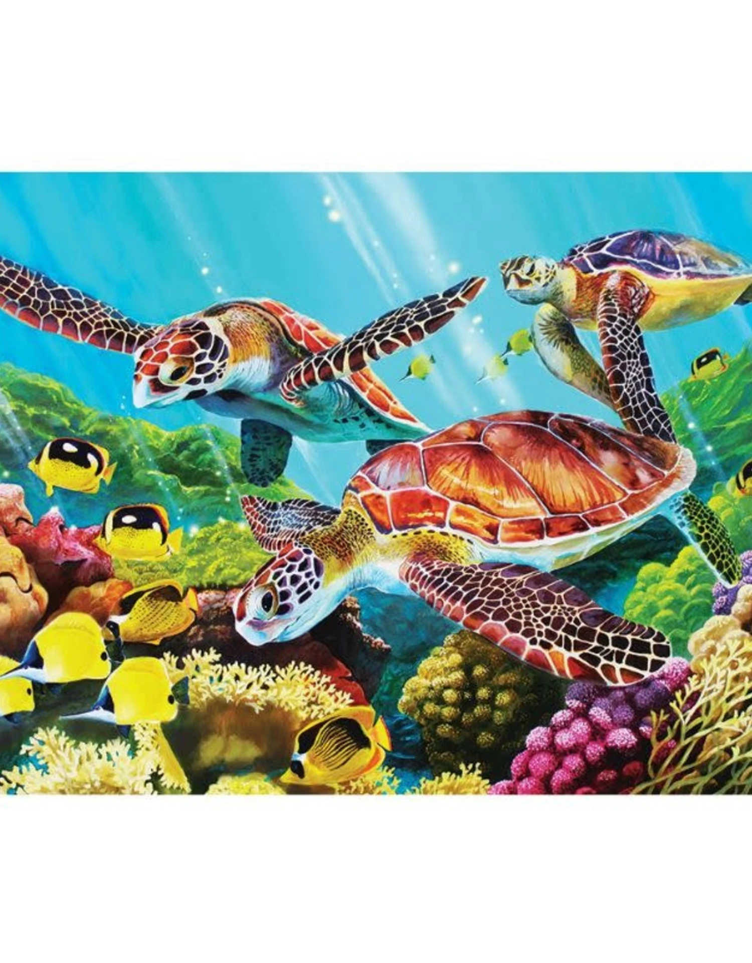 Molokini Sea (35pc) 3 Molokini Sea (35pc)