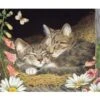 Morning Snooze (35pc) 2 Morning Snooze (35pc) -Discount Toy cobble hill puzzle company morning snooze 35pc