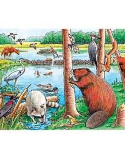 Discount Toy 28 The Beaver Pond (35pc)