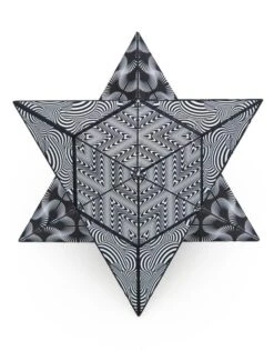 Shashibo (Black/White) 10 Shashibo (Black/White) -Discount Toy fun in motion toys shashibo black white 3