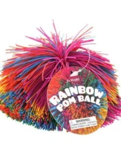Rainbow Pom Ball
