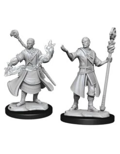 Half-Elf Wizard Male